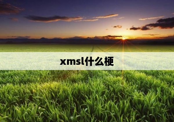 xmsl什么梗