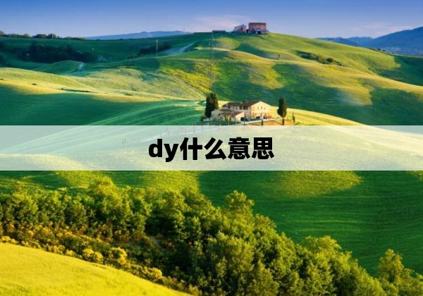 dy什么意思