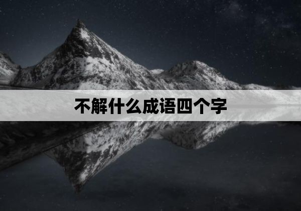 不解什么成语四个字