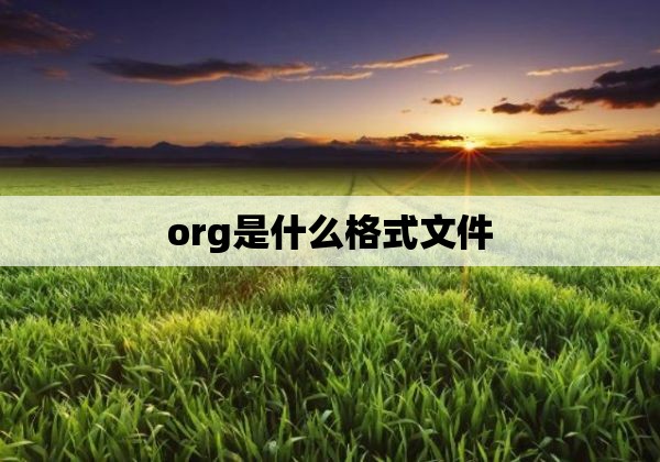 org是什么格式文件