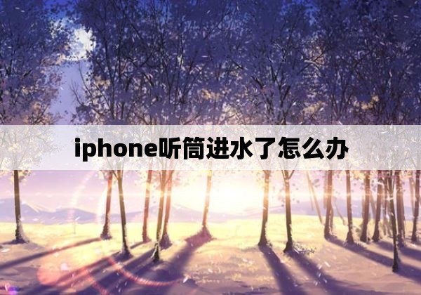 iphone听筒进水了怎么办