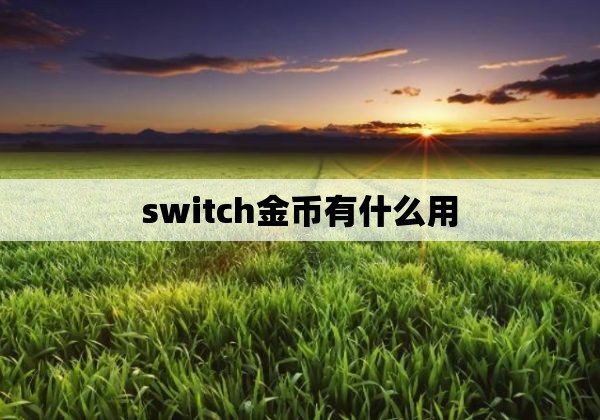 switch金币有什么用