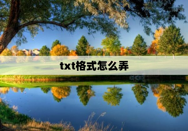 txt格式怎么弄