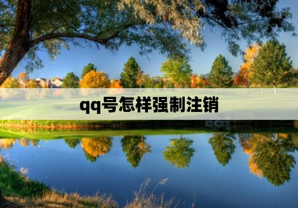 qq号怎样强制注销