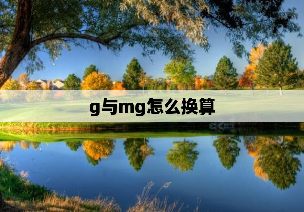 g与mg怎么换算