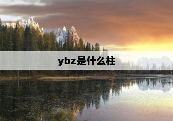 ybz是什么柱