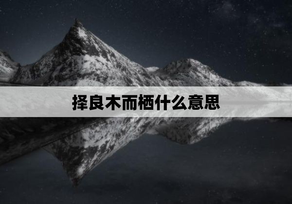 择良木而栖什么意思