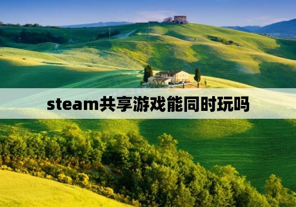 steam共享游戏能同时玩吗