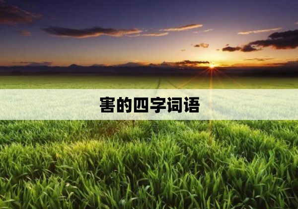 害的四字词语