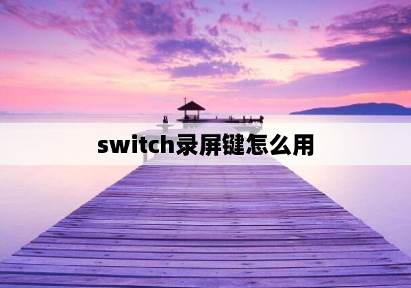 switch录屏键怎么用