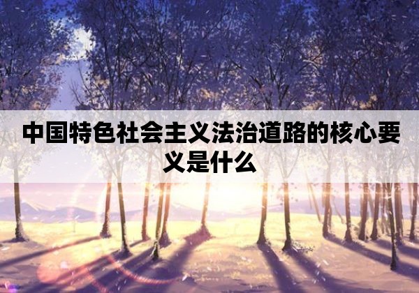 中国特色社会主义法治道路的核心要义是什么