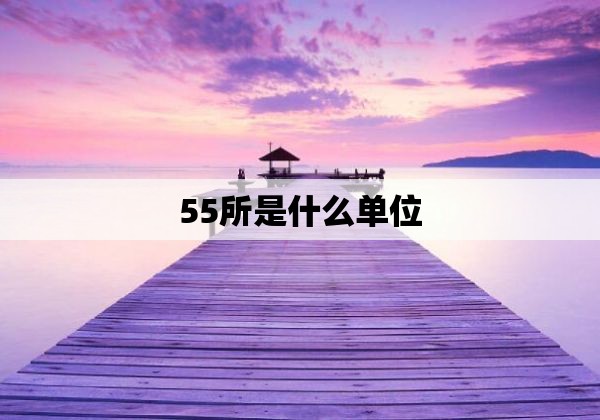 55所是什么单位