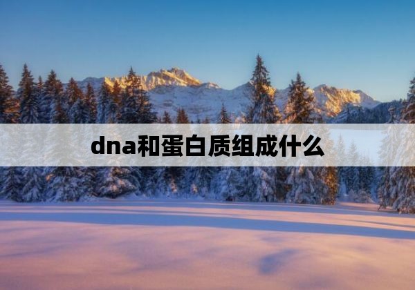 dna和蛋白质组成什么