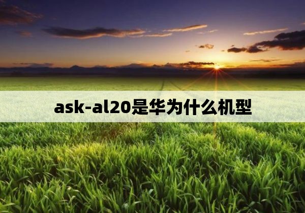 ask-al20是华为什么机型