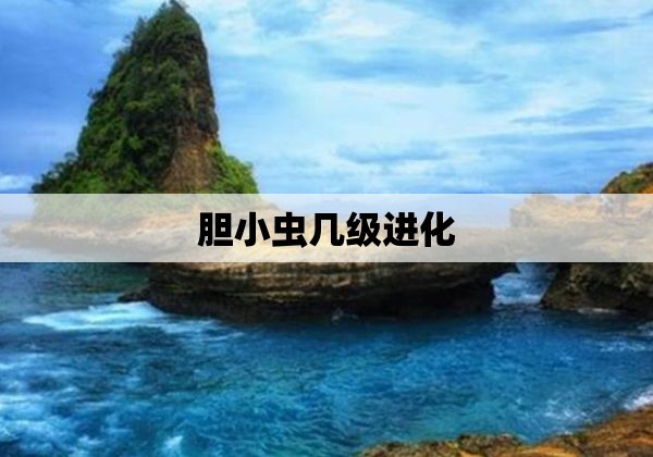 胆小虫几级进化