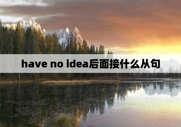 have no idea后面接什么从句