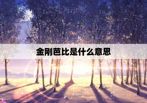 金刚芭比是什么意思