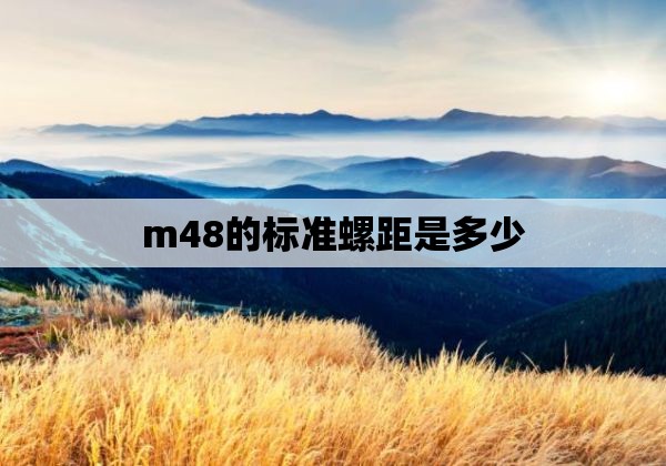 m48的标准螺距是多少