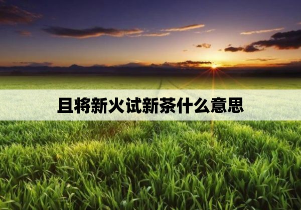 且将新火试新茶什么意思