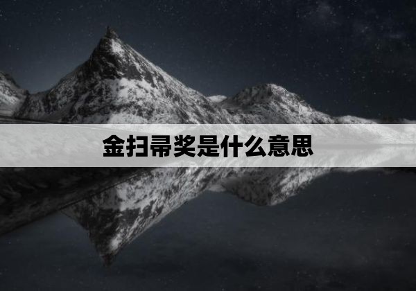 金扫帚奖是什么意思