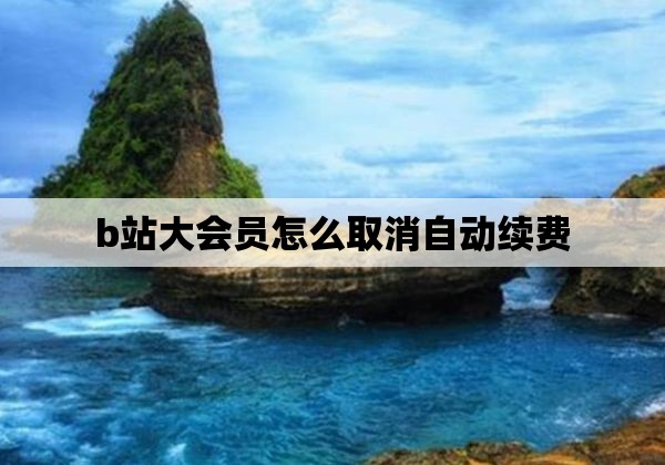 b站大会员怎么取消自动续费