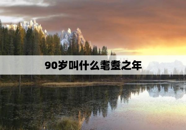 90岁叫什么耄耋之年