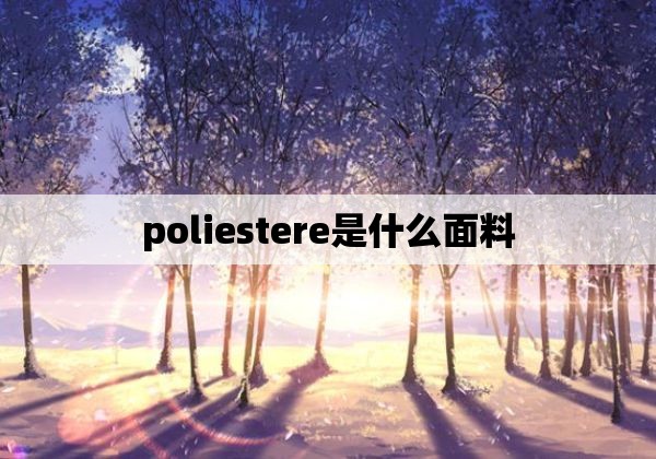 poliestere是什么面料