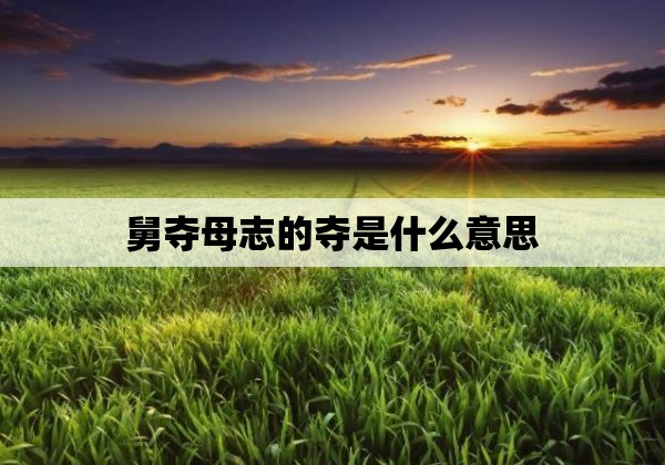 舅夺母志的夺是什么意思