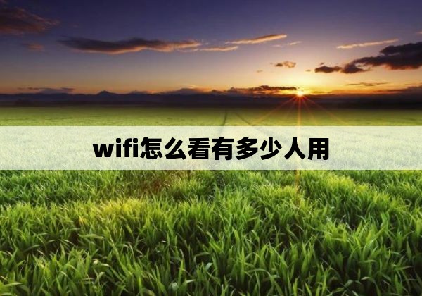 wifi怎么看有多少人用