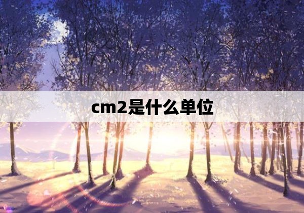 cm2是什么单位