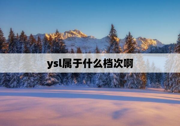 ysl属于什么档次啊