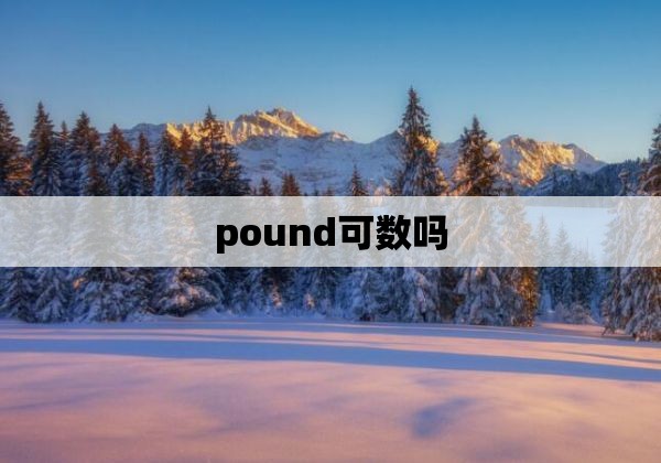 pound可数吗