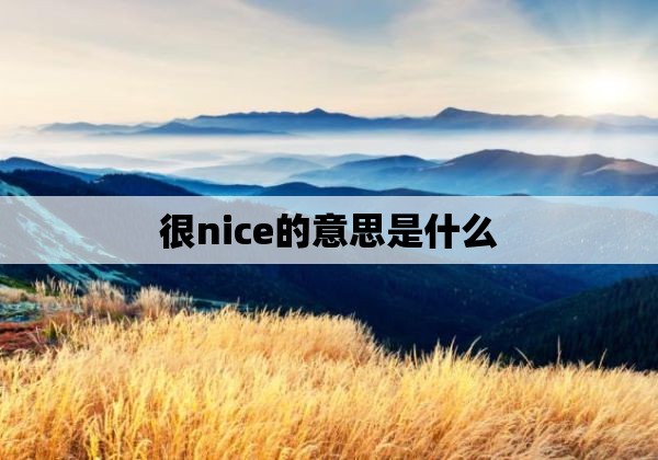 很nice的意思是什么