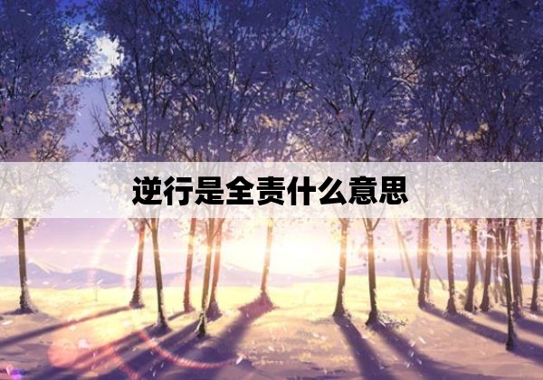 逆行是全责什么意思