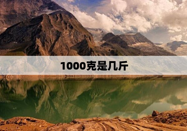 1000克是几斤