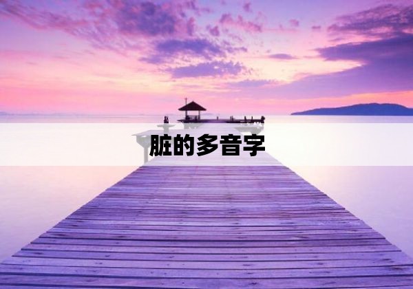 脏的多音字