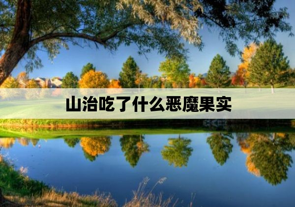 山治吃了什么恶魔果实