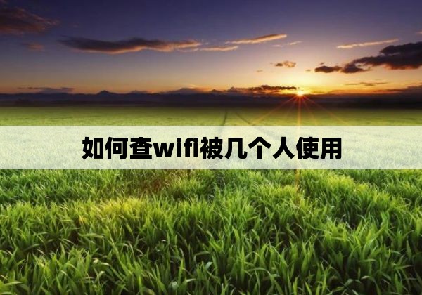 如何查wifi被几个人使用