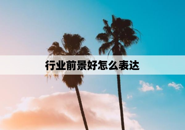 行业前景好怎么表达