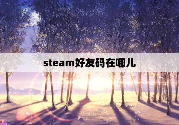 steam好友码在哪儿