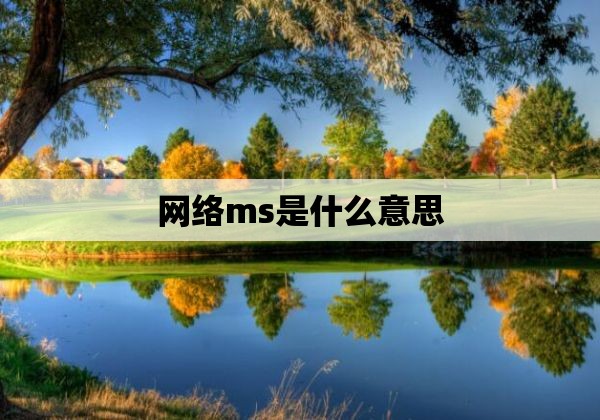 网络ms是什么意思