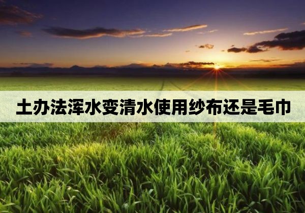 土办法浑水变清水使用纱布还是毛巾