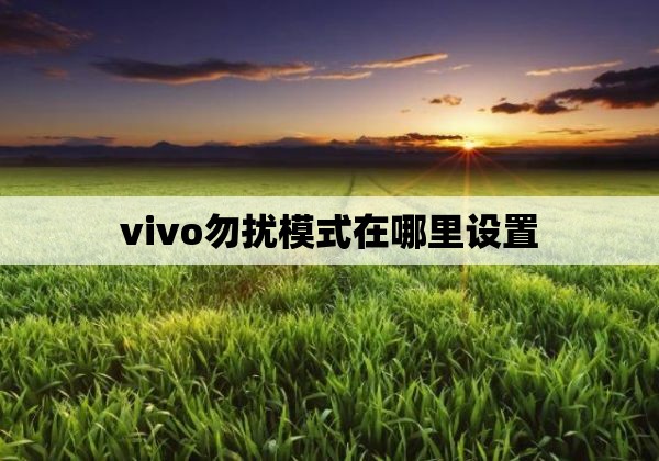 vivo勿扰模式在哪里设置