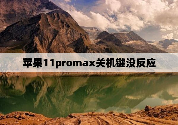 苹果11promax关机键没反应