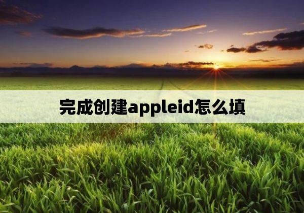 完成创建appleid怎么填