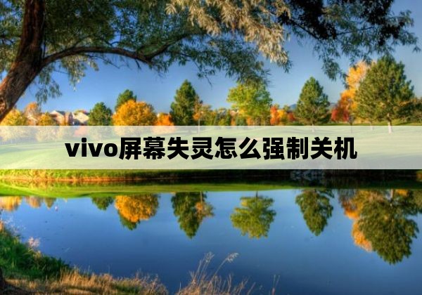 vivo屏幕失灵怎么强制关机