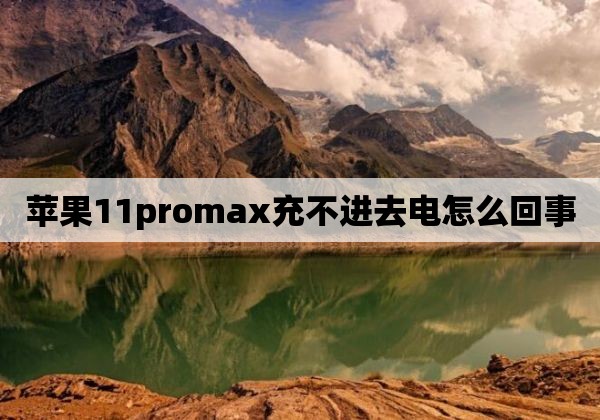 苹果11promax充不进去电怎么回事