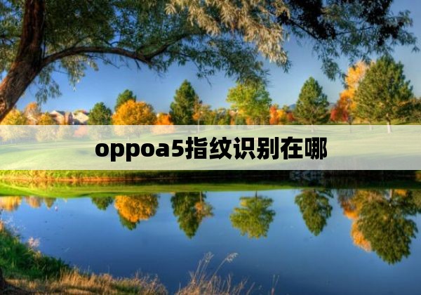 oppoa5指纹识别在哪