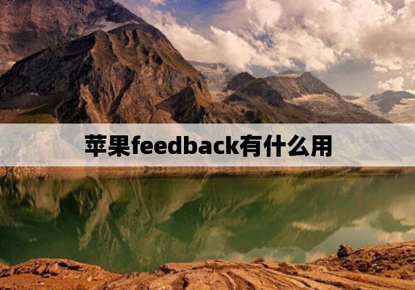 苹果feedback有什么用