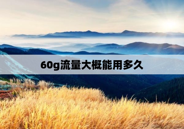 60g流量大概能用多久